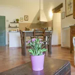 Appealing In Collesalvetti With Garden *