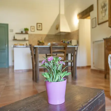 Appealing In Collesalvetti With Garden *