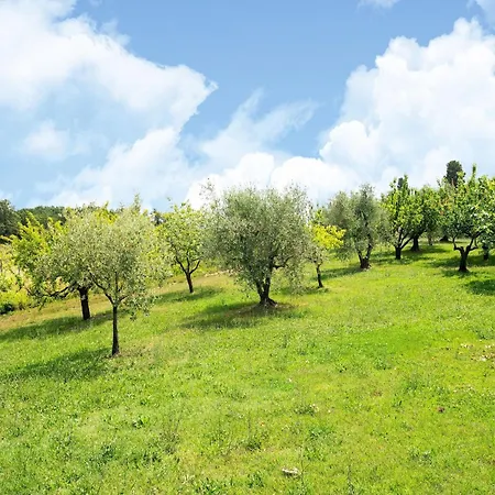 Appealing In Collesalvetti With Garden Holiday home