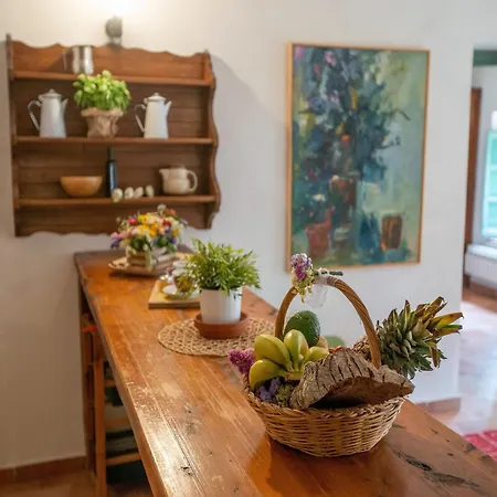 Appealing In Collesalvetti With Garden *
