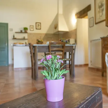 Holiday home Appealing In Collesalvetti With Garden *