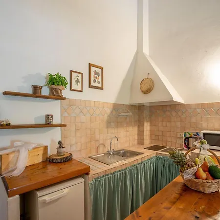 Appealing In Collesalvetti With Garden * Nugola